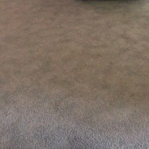 Meet your Posher, Misty